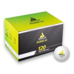JOOLA Training SH 40 Tischtennisbälle – 120er Karton für intensives Trainingsvergnügen