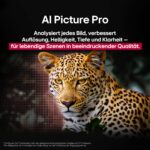 LG OLED65G57LW 65 Zoll 4K OLED evo AI TV – Kino-Qualität mit α11 Gen2 Prozessor & 165Hz – Bild 9