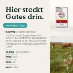 Nature Love Premium Collagen Pulver 500g – Typ 1 & 3 mit Hyaluronsäure & Elastin – Bild 2