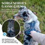 FREUDENTIER Hundegeschirr atmungsaktiv gepolstert – Anti-Zug Brustgeschirr mit Griff für alle Grössen – Bild 5