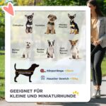 PawHut Hundewagen 2 in 1 – Faltbarer Hundebuggy bis 10 kg mit Bremsen & Netzfenstern – Bild 4